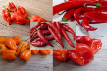 Charger l'image dans la galerie, Satanés Piments